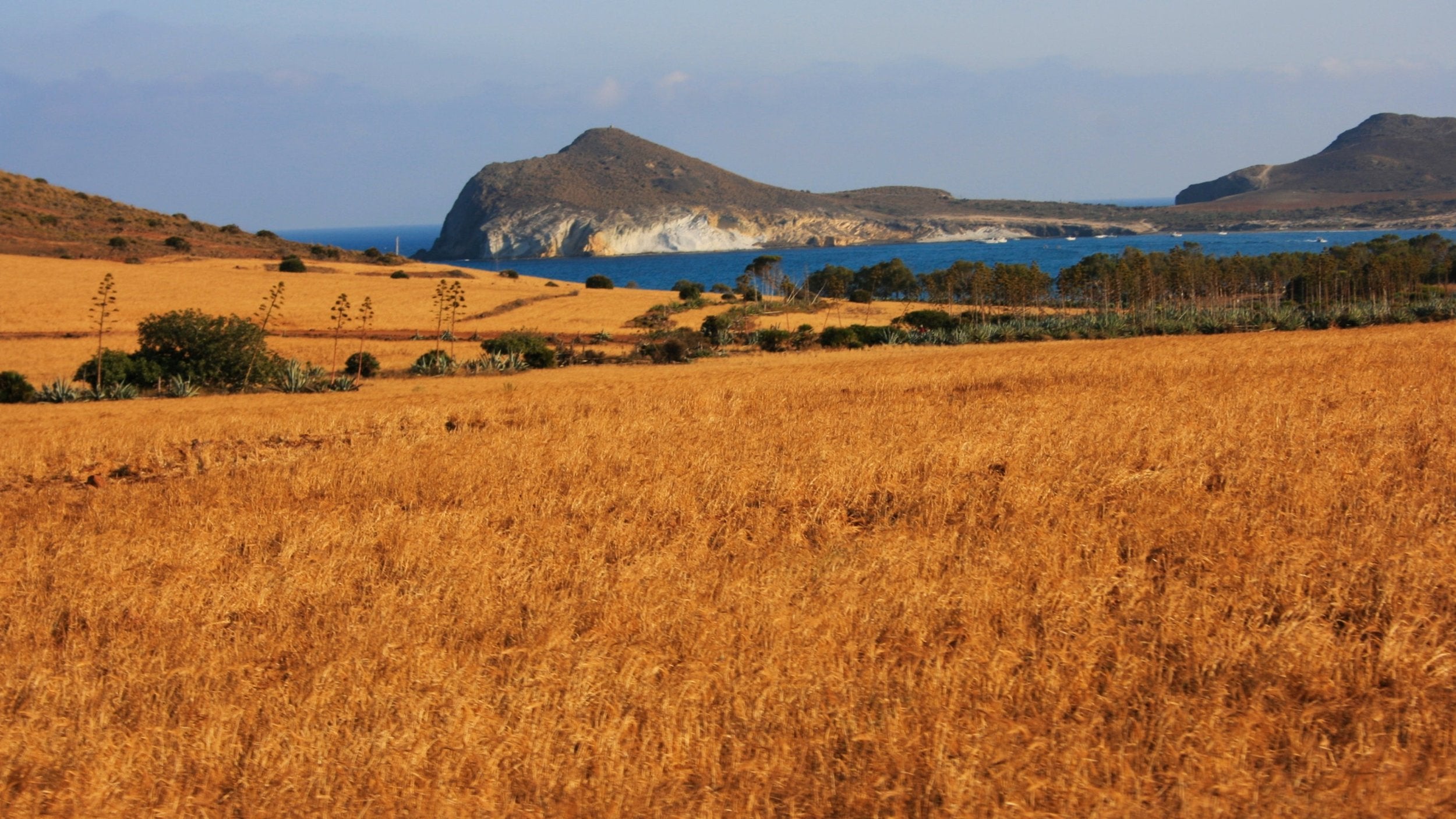 Greece Mediterranean Landscape